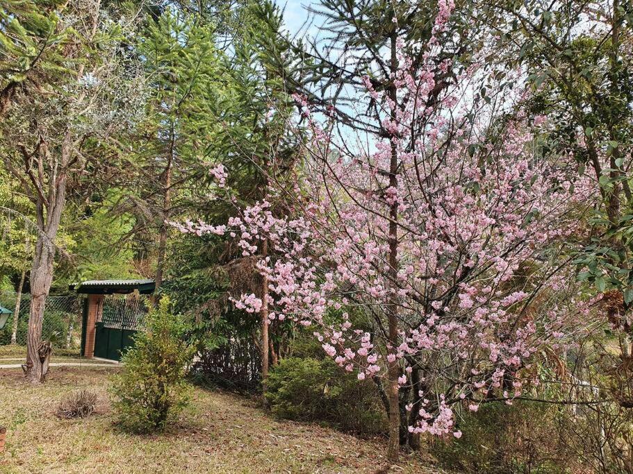 Вилла Casa Da Nanna Campos Кампус-ду-Жордау Экстерьер фото